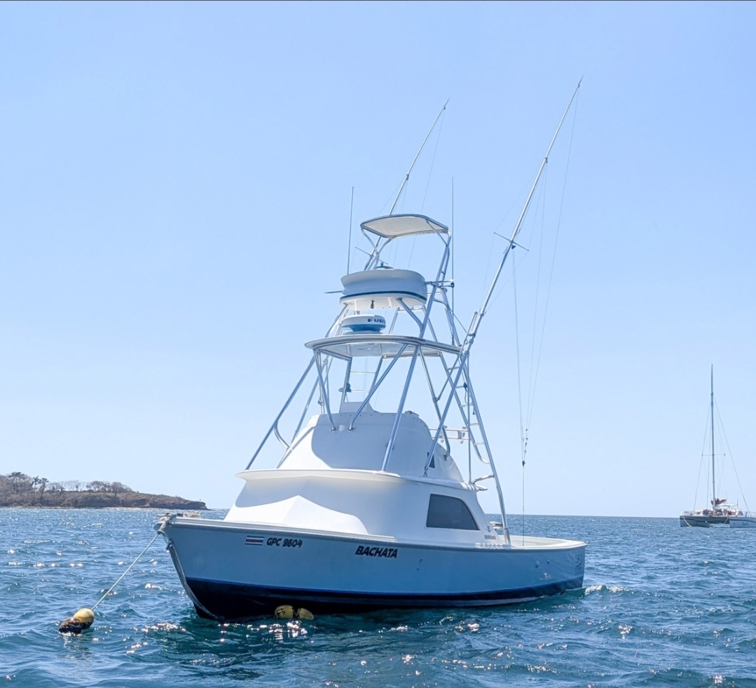 The Bachata, a 31 ft Bertram Sportfisher, at anchor off Playa Potrero